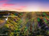 13725 San Pedro River Road - Photo 6