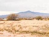 1369 Cattlemans Loop - Photo 6