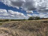 1369 Cattlemans Loop - Photo 9