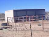 3035 Clark Road - Photo 2