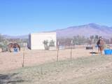 3035 Clark Road - Photo 3