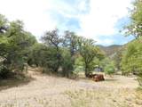 1697 Tombstone Canyon - Photo 19