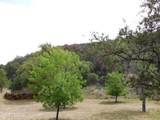 1697 Tombstone Canyon - Photo 12