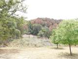 1697 Tombstone Canyon - Photo 14