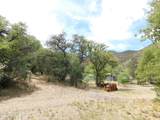 1697 Tombstone Canyon - Photo 16