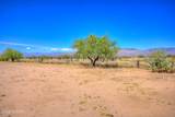13675 Crazy Horse Trail - Photo 32