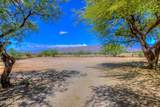 13675 Crazy Horse Trail - Photo 36