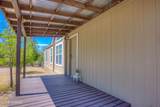 13675 Crazy Horse Trail - Photo 5