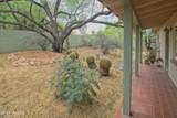 3213 Pima Street - Photo 11