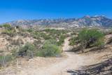 65486 Calle Jacobo - Photo 10