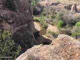 TBD Perezoso Court - Photo 8