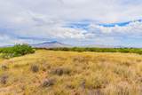 TBD Horse Ride Loop - Photo 7
