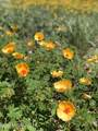 TBD Horse Ride Loop - Photo 8
