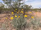 Lot 3940 Valladolid Drive - Photo 10