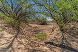 16180 San Pedro River Road - Photo 10