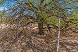 16180 San Pedro River Road - Photo 12