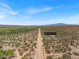 16180 San Pedro River Road - Photo 3