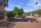 5221 4th Street - Photo 45