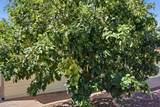 5221 4th Street - Photo 46