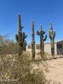 6251 Blue Boulevard - Photo 1
