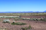 .41 Acres Old Brooks Road - Photo 1