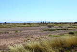 .41 Acres Old Brooks Road - Photo 2