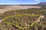 TBD County Road 2325 - Photo 5