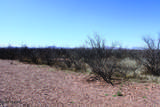 .22 Acre Mesa Court - Photo 3