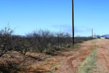.22 Acre Mesa Court - Photo 5