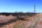 .22 Acre Mesa Court - Photo 6