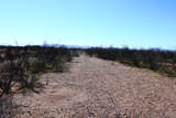 .22 Acre Mesa Court - Photo 8
