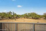 16895 Horse Hollow Trail - Photo 23