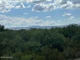 195 Palomino Run Place - Photo 14