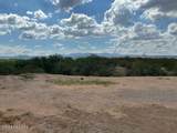 195 Palomino Run Place - Photo 6