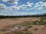 194 Palomino Run Place - Photo 7