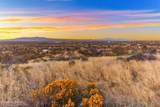389 Rocky Trail - Photo 9