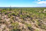 2510 Avenida Sorgo - Photo 8
