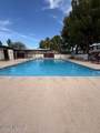 1360 Avenida Polar - Photo 18