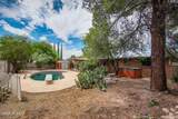 9352 Palm Tree Drive - Photo 14