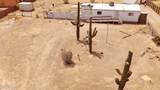 17625 Oatman Road - Photo 11