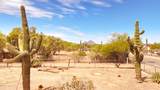 17625 Oatman Road - Photo 36