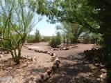 2916 Loma Alta Drive - Photo 48