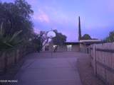 9115 Calle Diego - Photo 10