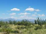 Canyon Overlook Trail - Photo 3
