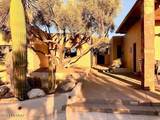3171 Via Palomita - Photo 21