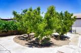 1016 Mescal Drive - Photo 5