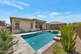 13477 Mariposa Lily Drive - Photo 39