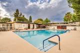 1366 Avenida Polar - Photo 26