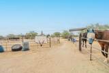 13045 Trico Road - Photo 11