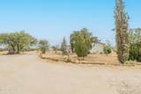 13045 Trico Road - Photo 4